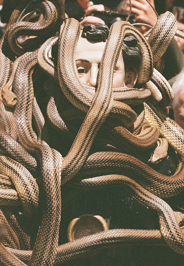 A Saint and his Serpents