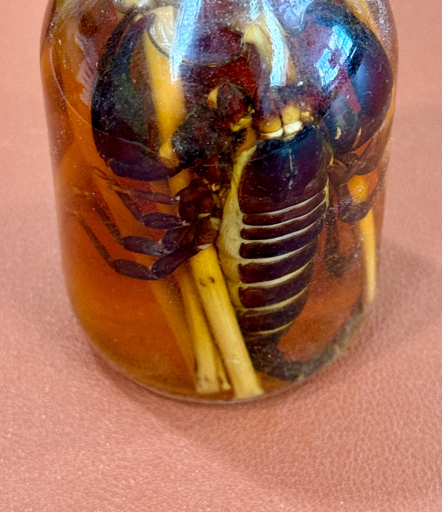 Scorpion Liquor from Laos