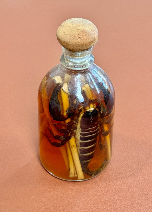 Scorpion Liquor from Laos